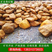 天然風(fēng)景自然奇石假山景觀(guān)園林黃蠟石熱銷(xiāo)全國
