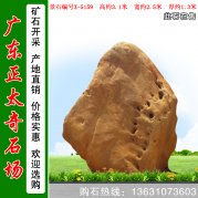 3.1高天然景觀(guān)園林刻字綠化黃蠟石 編號X-5159