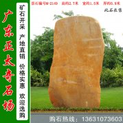  2.7米高園林黃蠟石 村口標志石 編號M-2149