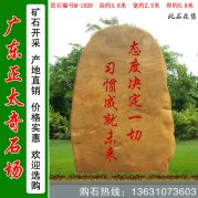  3.8米高刻字黃蠟石 校園點(diǎn)綴石文化石 M-1829