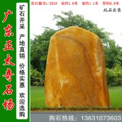  1.6米高黃蠟石公園草坪點(diǎn)綴景石 編號L-2319