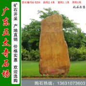  2.4米寬景觀(guān)黃蠟石 校園刻字文化石 編號Q-5234