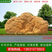  6.3米寬大型天然黃蠟石 景區點(diǎn)綴石 編號Y-5757
