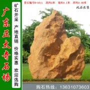 5米高廣東景觀(guān)石 天然黃蠟石 風(fēng)水石 編號R-5411