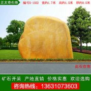 1.7米寬廣東景觀(guān)石 草坪點(diǎn)綴黃蠟石 編號X-1352