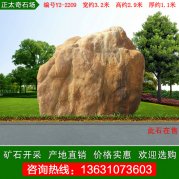 3.2米寬天然黃蠟石 草坪點(diǎn)綴景石 編號Y2-2209