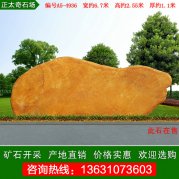 6.7米寬大型黃蠟石 刻字標識石 編號A5-4936