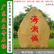 2.5米高廣東黃蠟石 公園小區刻字石 編號W-4135