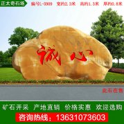 2.3米寬黃蠟石校區文化石點(diǎn)綴景石 編號L-5909