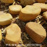 40-70的小規格平面黃蠟石打磨石草坪點(diǎn)綴景石