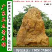 3.2米高天然黃蠟石 景區點(diǎn)綴觀(guān)賞石 編號Q-2259