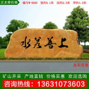 5.1米寬廣東黃蠟石 校區刻字紀念石 編號W-5830
