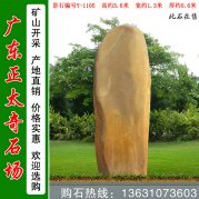 3.6米高廣東黃蠟石 校區文化石 編號Y-1105