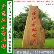 6.2米高大型黃蠟石 景區刻字招牌石 編號X-0243