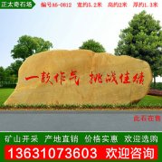 5.2米寬黃蠟石 企業(yè)刻字石 標語(yǔ)石 編號A6-0812