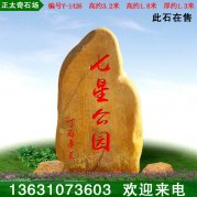 3.2米高景觀(guān)黃蠟石 公園小區招牌石 編號Y-1426