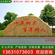 3.4米黃蠟石 產(chǎn)地直銷(xiāo)校區景觀(guān)石 編號Q-1854