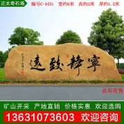 6米寬廣東黃蠟石事業(yè)單位學(xué)?？套质幪朇-4431