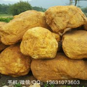 廣東高檔黃蠟石、私家別墅假山魚(yú)池造景石