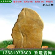 2.9米產(chǎn)地直銷(xiāo)天然黃蠟石 村牌刻字石編號4509