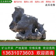 英德天然太湖石 皇家園林布景石材 編號2743