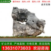 獨石成景太湖石 自然石造景石 編號0618