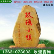 3.9米高產(chǎn)地廣東黃蠟石 村口景觀(guān)石 編號4417