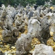 英德太湖石，精品觀(guān)賞石，草坪點(diǎn)綴景石