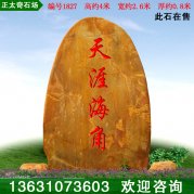 4米高廣東黃蠟石 景區刻字招牌石 編號1827