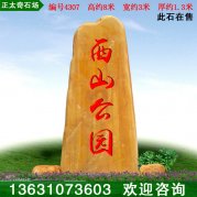 8米高大型景觀(guān)黃蠟石 景區刻字標志石 編號4307