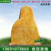3.2米高廣東景觀(guān)黃蠟石 公園小區擺放石 編號24