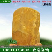 2.1米高廠(chǎng)家直銷(xiāo)黃蠟石 文化石 編號1824