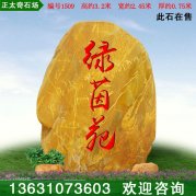 3.2米高廣東景觀(guān)黃蠟石 擺放標識石 編號1509