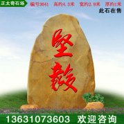 4.3米廣東黃蠟石 園林石 校訓文化石 編號3641