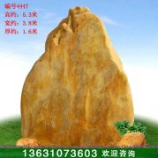 5.3米高大型黃蠟石 村口景區標志石 編號4447