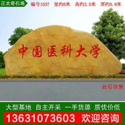 6米寬 園林黃蠟石 單位刻字迎賓石 編號1537
