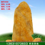 8.3米高大型黃蠟石 公園景區刻字石編號4056