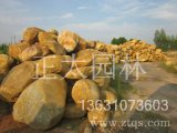 園林石場(chǎng)批發(fā)銷(xiāo)售黃蠟石